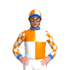 Jockey Silk