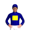 Jockey Silk