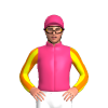 Jockey Silk