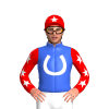 Jockey Silk