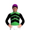 Jockey Silk