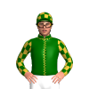 DARK GREEN, GOLD SEAMS,CHECKS SLEEVE, CHECKS CAP