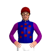 Navy Blue, Maroon Spots, Purple Sleeves, Maroon Cap