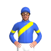 Royal Blue, Yellow Sash And Armbands