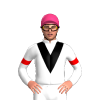 PURPLE, WHITE STARS, CHECKS SLEEVES, White cap