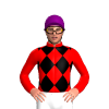 RED, BLACK DIAMOND CHECKS, RED SLEEVES, Purple cap