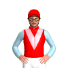 Jockey Silk