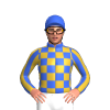 Jockey Silk