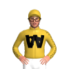 Jockey Silk