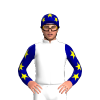 Jockey Silk