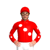 Jockey Silk