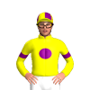 Jockey Silk