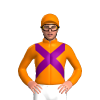 Jockey Silk