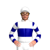 Jockey Silk