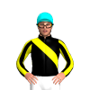 Jockey Silk