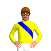 Jockey Silk