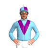 Jockey Silk