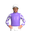 Jockey Silk