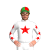 Jockey Silk