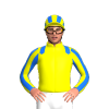 Jockey Silk