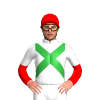 Jockey Silk
