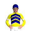 Jockey Silk