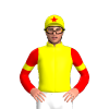 Jockey Silk