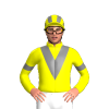 Jockey Silk