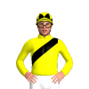 Jockey Silk