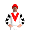 Jockey Silk