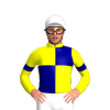 Jockey Silk