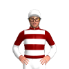 Jockey Silk