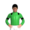 Jockey Silk