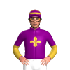 PURPLE, GOLD FLEUR DE LYS, SLEEVES, PURPLE HALVED, PURPLE CAP, GOLD HOOPS