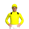 YELLOW, BLACK EPAULETTES