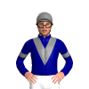 NAVY, GRAY VEE, ARMBAND, CAP
