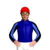 NAVY BLUE, ROYAL BLUE SLEEVES, BLACK STRIPES SLEEVES, RED CAP