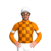 ORANGE, BROWN CHECKS, ORANGE SLEEVES, WHITE ARMBANDS, WHITE CAP