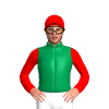 EMERALD GREEN, GOLD TRELAWNEY STUD LOGO, RED SLEEVES, CAP, GOLD TRELAWNEY STUD LOGO