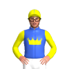 ROYAL BLUE, YELLOW CROWN (B&F), SLEEVES & CAP WITH ROYAL BLUE SEAMS