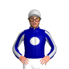 DARK BLUE, SILVER SPOT, STRIPED SLEEVES, SILVER CAP