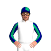 WHITE, GREEN AND ROYAL BLUE WAIKATO STUD LOGO, JADE SLEEVES, NAVY STRIPES, NAVY CAP, JADE QUARTERS