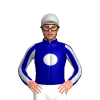 DARK BLUE, SILVER SPOT, STRIPED SLEEVES, SILVER CAP