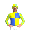 Yellow, Royal Blue Quarters And Crest, Yellow And Light Green Checked Sleeves, Quartered Cap