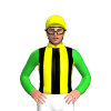 Yellow And Black Stripes, Lime Green Sleeves, Yellow Cap