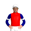 Red, Navy Blue Sleeves, White Armbands And Cap