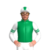 Emerald Green, White Sleeves, Emerald Green Double Armbands, White Cap, Emerald Green Stripe