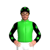 Lime Green, Black Panther Head, Black And Lime Green Stars Sleeves And Cap