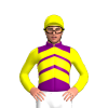 Purple, Yellow Chevrons, Yellow Sleeves And Cap