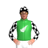 Green, White Fern, Black And White Checked Sleeves And Cap